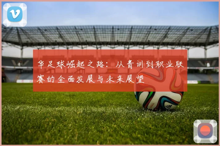 华足球崛起之路：从青训到职业联赛的全面发展与未来展望