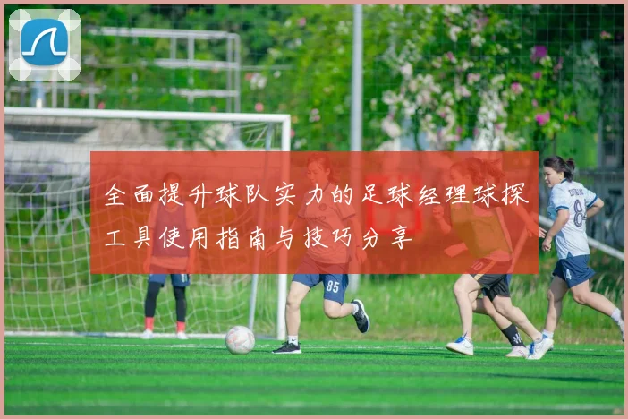 全面提升球队实力的足球经理球探工具使用指南与技巧分享