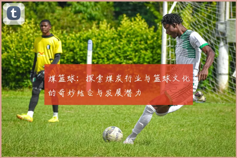 煤篮球：探索煤炭行业与篮球文化的奇妙结合与发展潜力