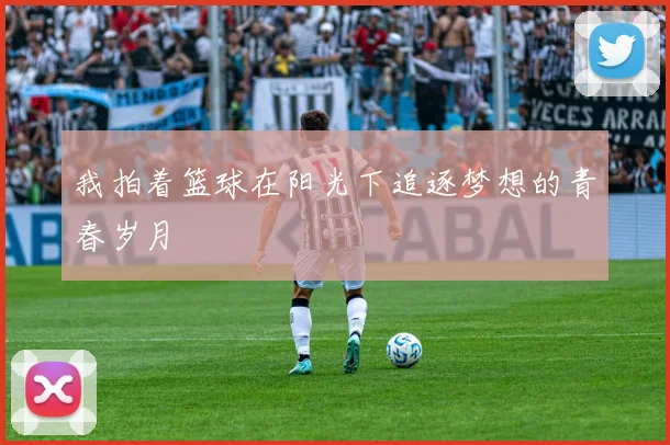 我拍着篮球在阳光下追逐梦想的青春岁月