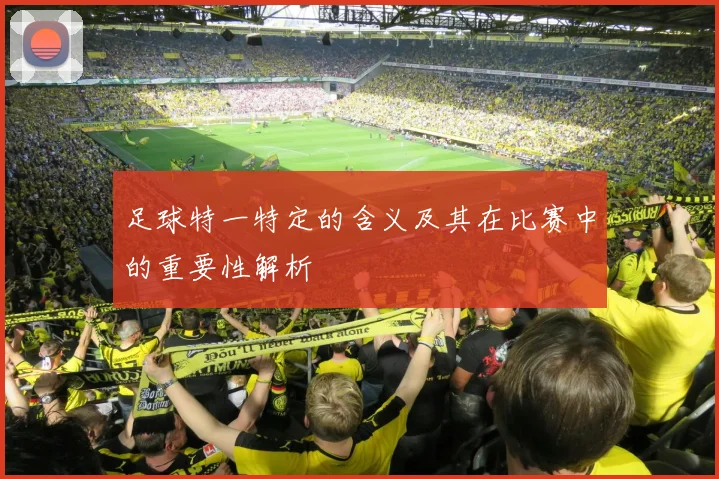 足球特一特定的含义及其在比赛中的重要性解析