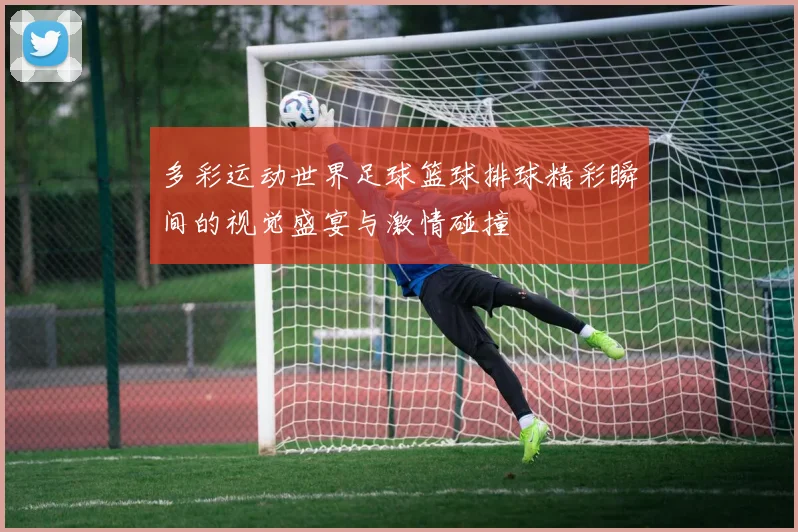 多彩运动世界足球篮球排球精彩瞬间的视觉盛宴与激情碰撞