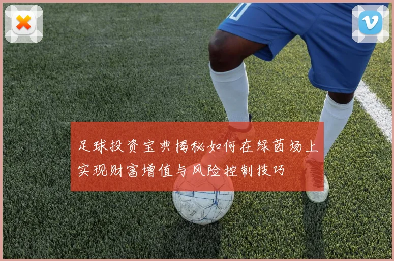 足球投资宝典揭秘如何在绿茵场上实现财富增值与风险控制技巧