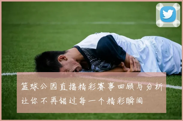 篮球公园直播精彩赛事回顾与分析让你不再错过每一个精彩瞬间